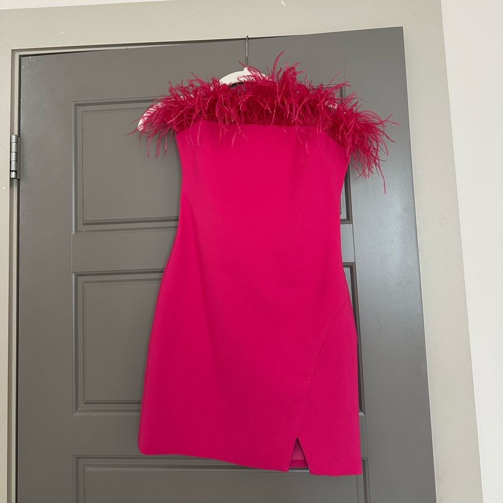REVOLVE Pink Feather-Trim Mini Dress